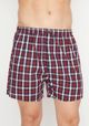 BOXER TREVIRA | Kaysershop